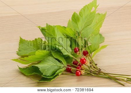 Stone Bramble
