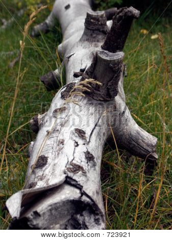 ล็อกยากที่แก้ไข