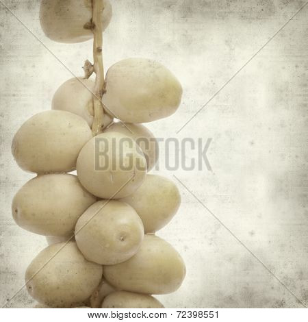 Textured Old Paper Background