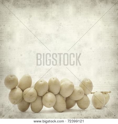 Textured Old Paper Background