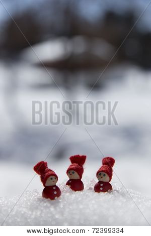 Swedish Tompe in the Snow