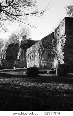 Abbey Ruins