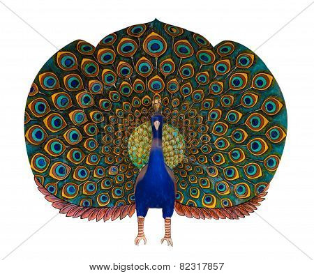 Peacock statue