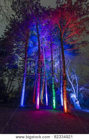 Event Winterlichter  In The Palmgarden