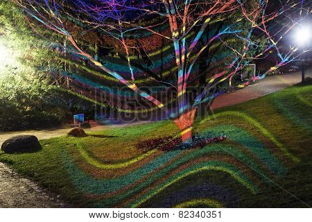 Event Winterlichter  In The Palmgarden