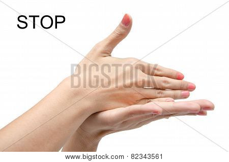 Woman Hand Asl American Sign Language On White Background