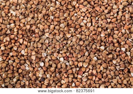 buckwheat