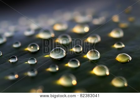 water