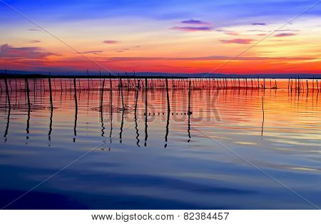 the sea of colors