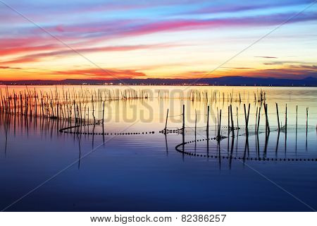 color landscape
