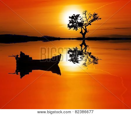 sunset behind the tree