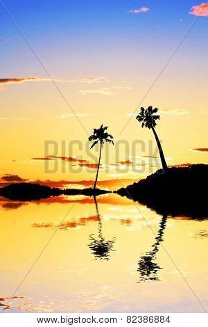 palm island