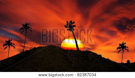 palm island