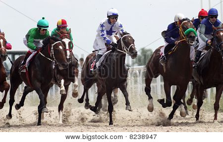 Horse Racing.