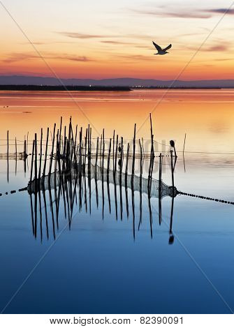 el vuelo de la gabiota