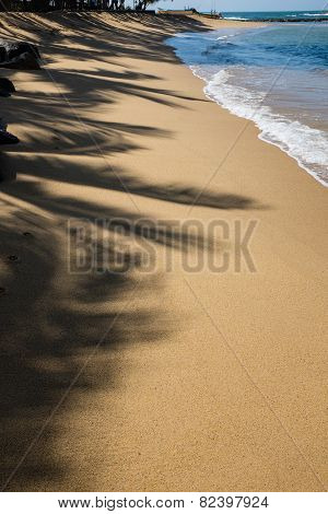 Ocean Beach