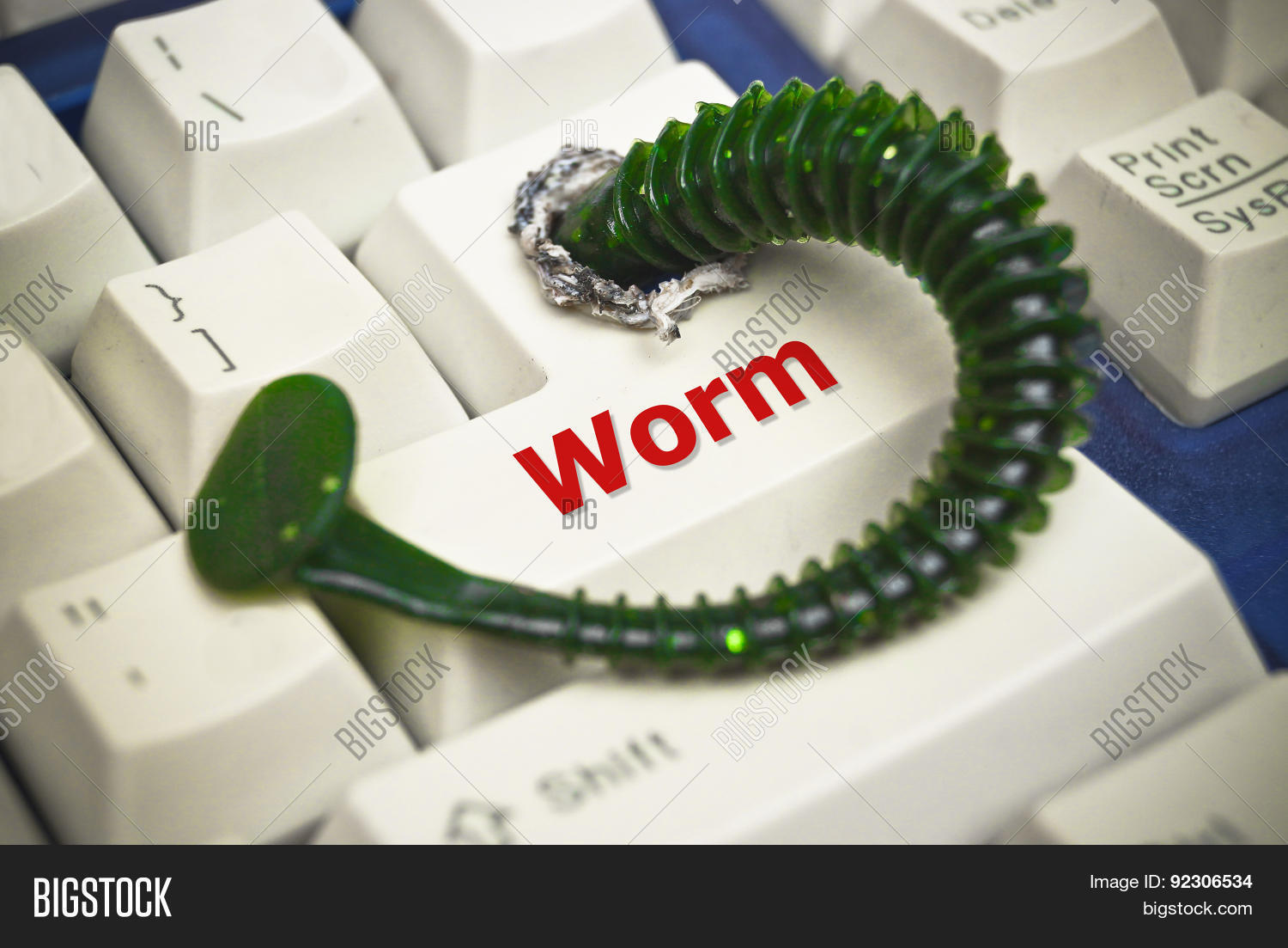 Computer Worm Image & Photo (Free Trial) | Bigstock