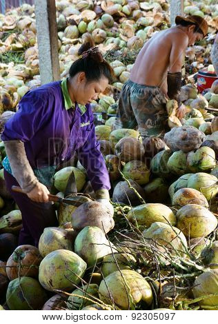 Asian Worker, Coconut, Vietnamese, Mekong Delta