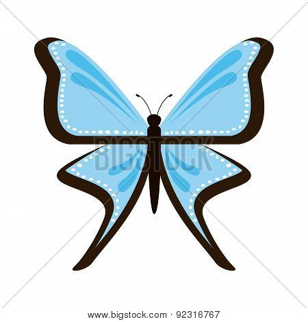 butterfly design