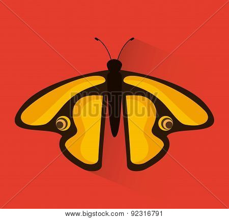 butterfly design
