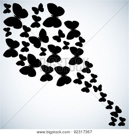 butterfly design