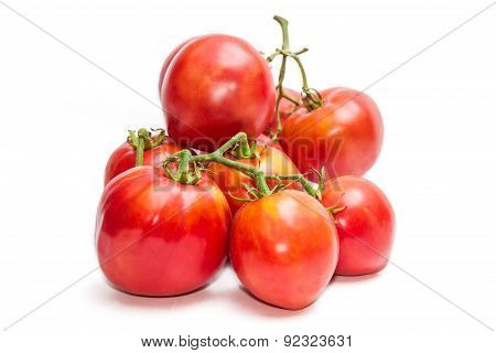 Bunches Of Tomatoes