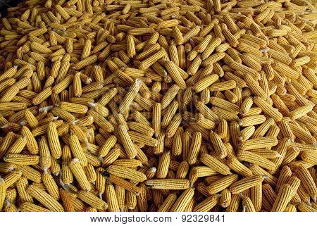 Cob corn