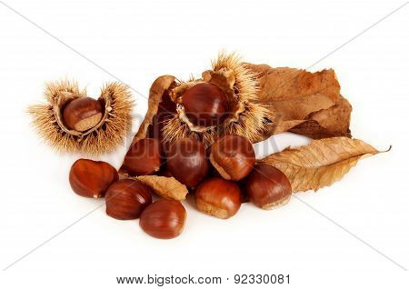 Chestnuts, dried leaves and husk.