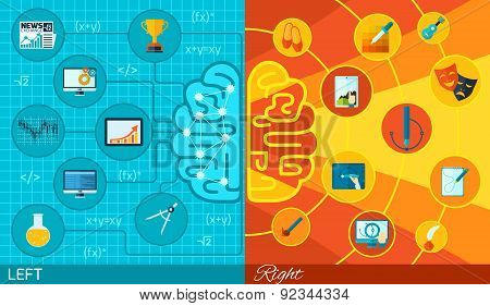 Left And Right Brain Function
