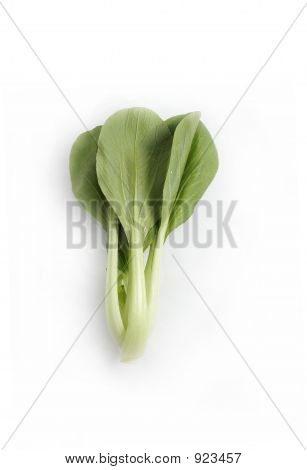 Vege
