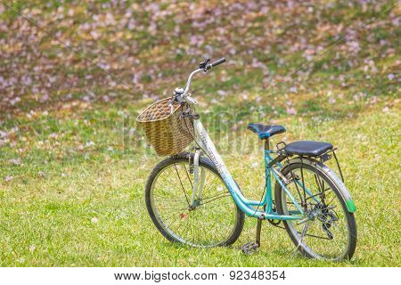 Bicycle in the Garden