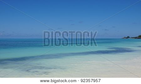 Nautral Tropical Paradise