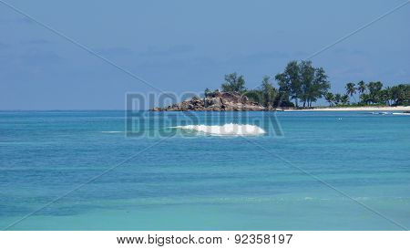 Nautral Tropical Paradise