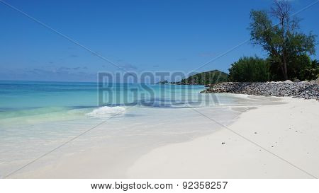 Nautral Tropical Paradise