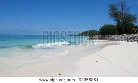 Nautral Tropical Paradise