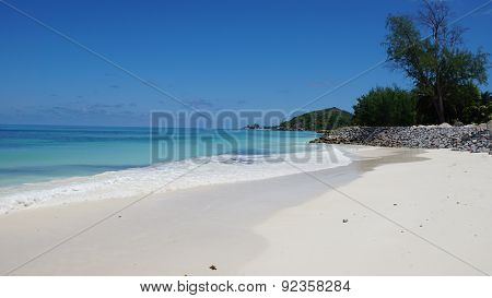 Nautral Tropical Paradise