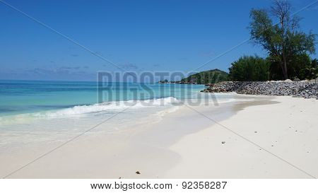 Nautral Tropical Paradise