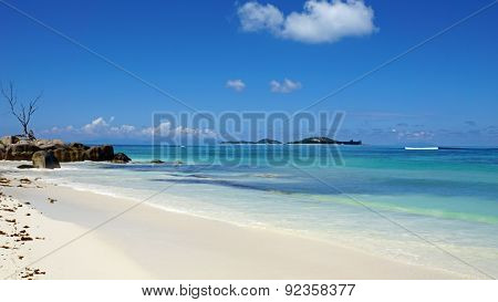 Nautral Tropical Paradise