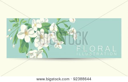 floral illustration of apple tree blossom