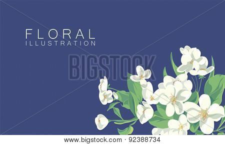 floral illustration of apple tree blossom