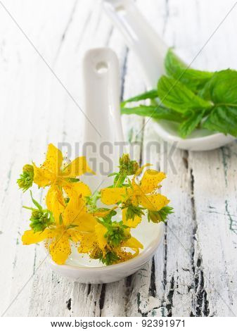 Mint and St John's wort