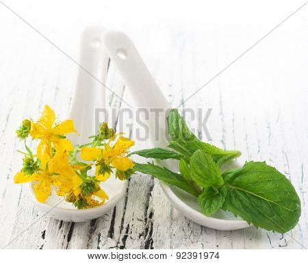 Mint and St John's wort