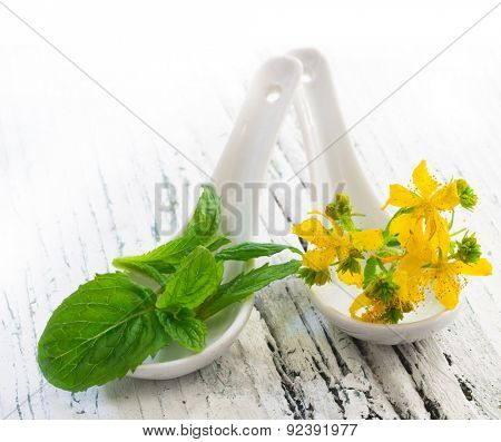 Mint and St John's wort