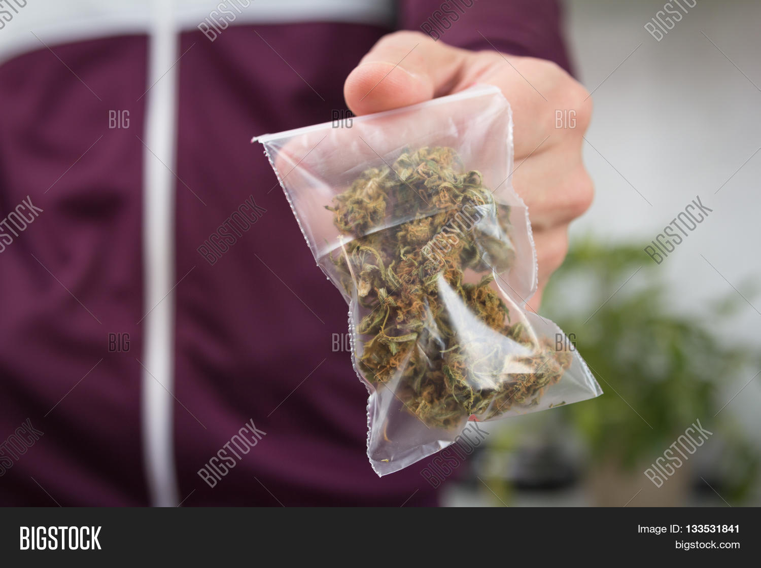Image Preview