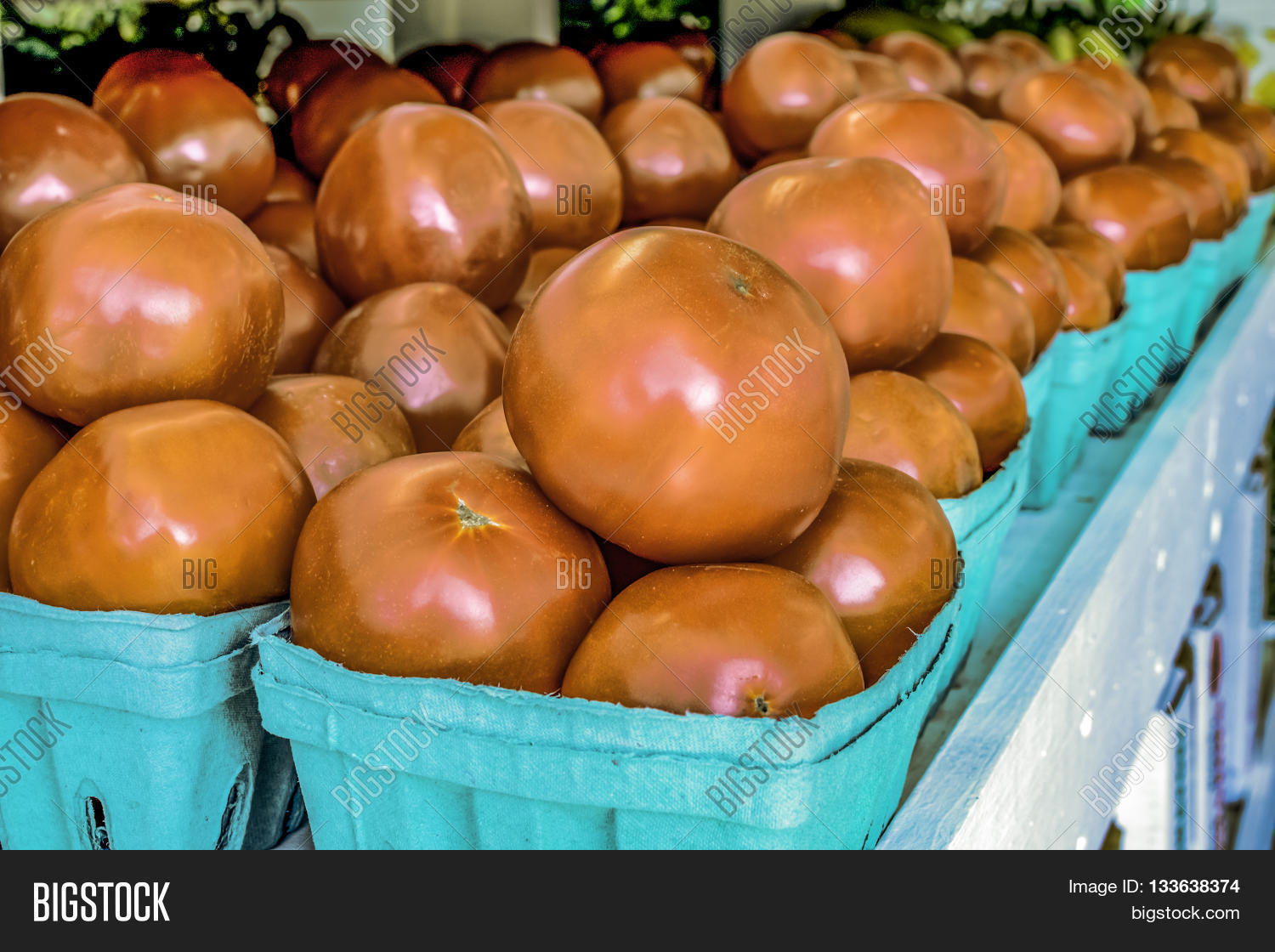 Rows Tomato Cartons On Image & Photo (Free Trial) Bigstock