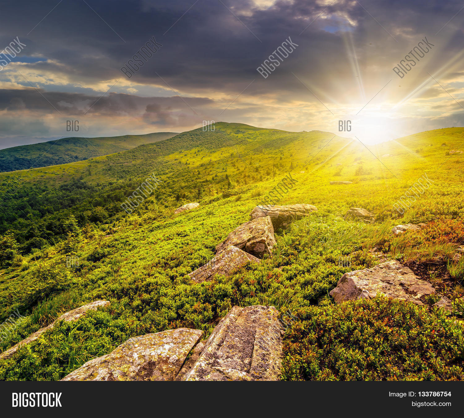 Image Preview