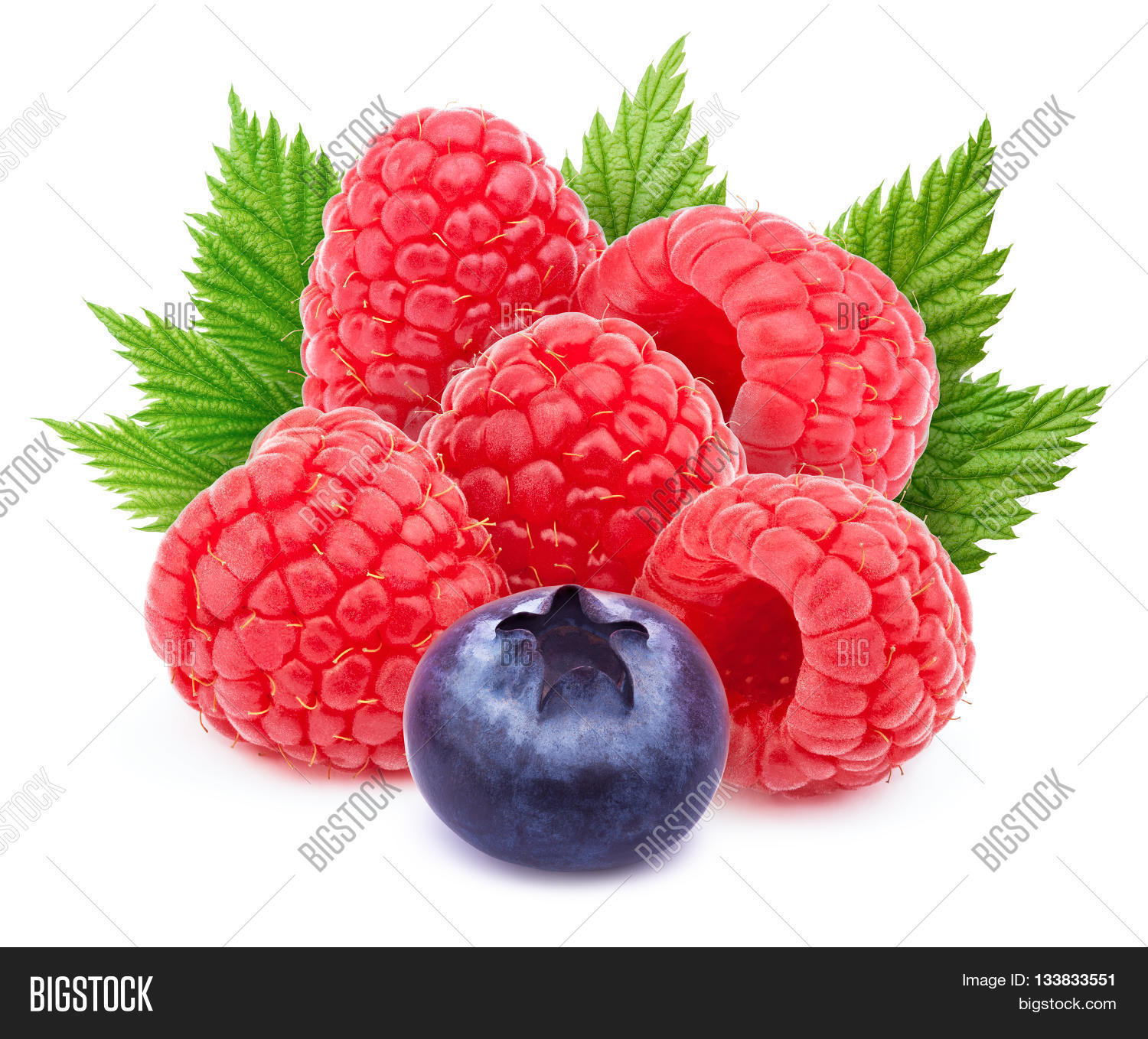 Image Preview