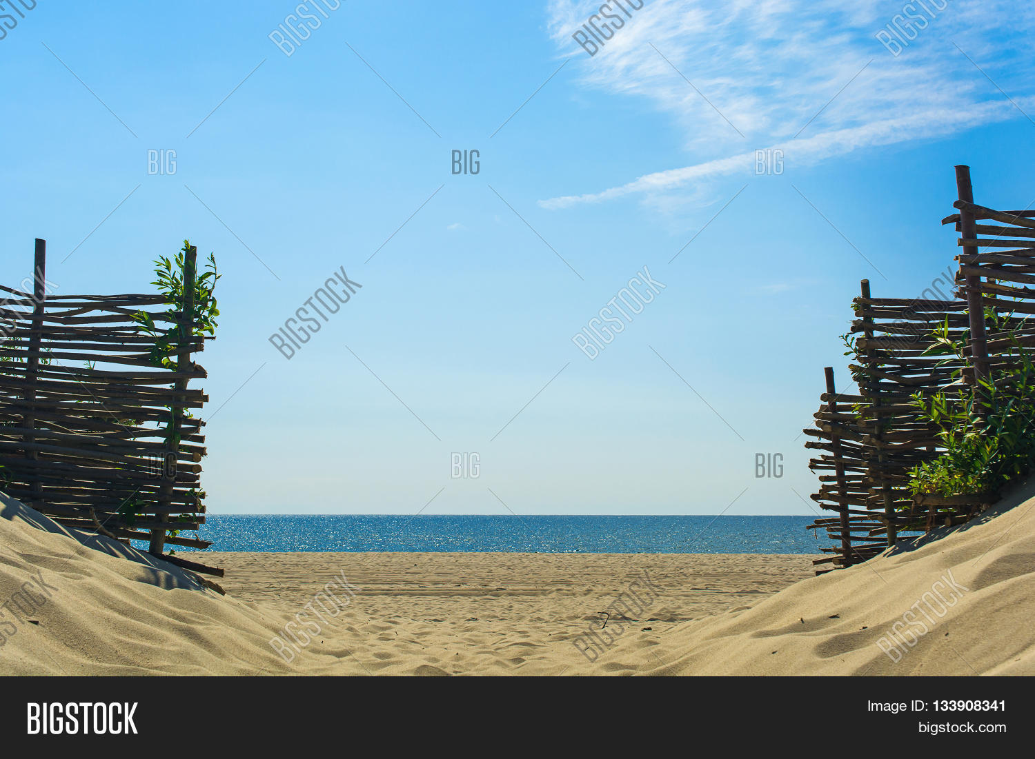 Image Preview
