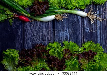 Spring Onions Radish And Salad