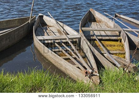 Row of wooden flat bottom boats, moored at the lagoon margin of Pateira de Fermentelos near Aveiro, Portugal
